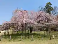 賀茂別雷神社(上賀茂神社)(京都府)