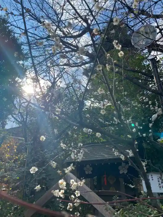 阿佐ヶ谷神明宮の{uncategorized: "未分類", other: "その他", undefined: "問題あり", building: "その他建物", grave: "お墓", sacred_gate: "鳥居", guardian: "狛犬", statue: "像", buddha: "仏像", history: "歴史", nature: "自然", garden: "庭園", animal: "動物", pagoda: "塔", temizu: "手水舎", mountain_gate: "山門・神門", sanctuary: "本殿・本堂", subordinate: "末社・摂社", art: "芸術", scenery: "景色", jizo: "地蔵", ema: "絵馬", goshuin: "御朱印", omikuji: "おみくじ", items: "授与品その他", amulet: "お守り", goshuincho: "御朱印帳", eats: "食事", festival: "お祭り", votive_dance: "神楽", shichigosan: "七五三参", wedding: "結婚式", experience: "体験その他", initially: "初詣", around: "周辺", anti_infection: "感染症対策"}