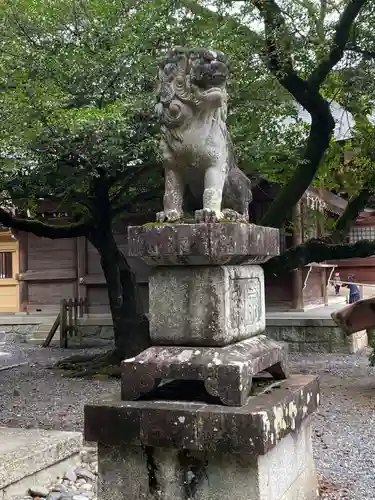 砥鹿神社（里宮）の狛犬