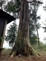 天照大神の自然