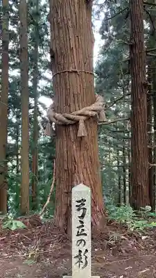御賀八幡宮の自然