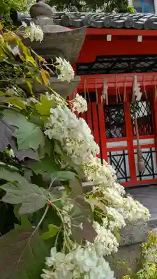 元祇園梛神社・隼神社(京都府)