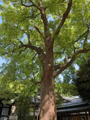 王子神社(東京都)