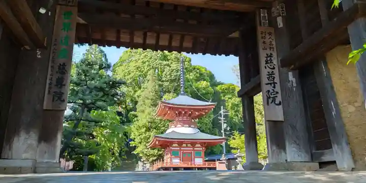 慈尊院の山門・神門