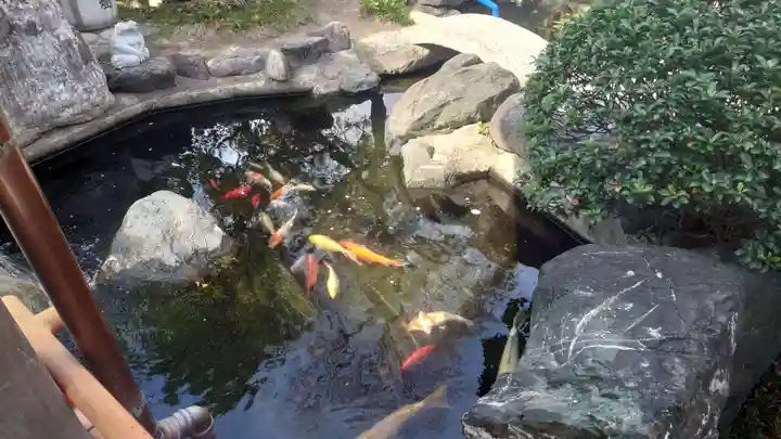 尾張猿田彦神社(愛知県)