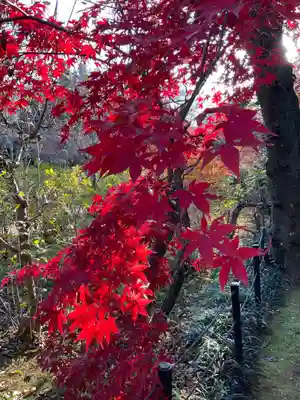 本土寺(千葉県)