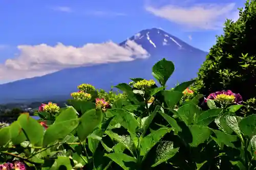 海蔵寺の景色