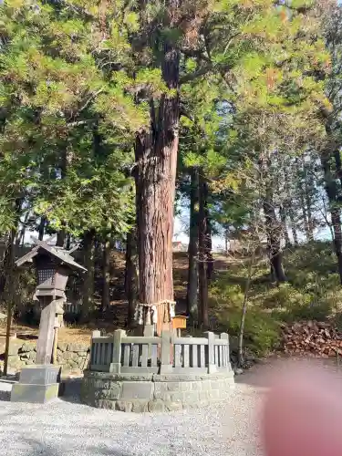 諏訪大社下社春宮(長野県)