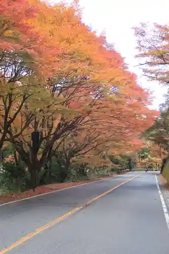 神護寺の景色