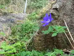 妻戸神社(新潟県)