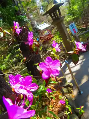 白石神社(北海道)