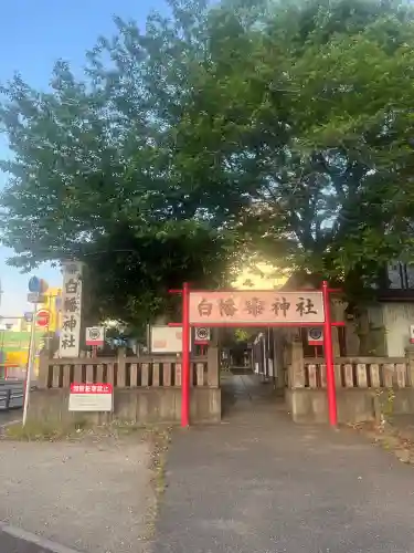 白幡神社の{uncategorized: "未分類", other: "その他", undefined: "問題あり", building: "その他建物", grave: "お墓", sacred_gate: "鳥居", guardian: "狛犬", statue: "像", buddha: "仏像", history: "歴史", nature: "自然", garden: "庭園", animal: "動物", pagoda: "塔", temizu: "手水舎", mountain_gate: "山門・神門", sanctuary: "本殿・本堂", subordinate: "末社・摂社", art: "芸術", scenery: "景色", jizo: "地蔵", ema: "絵馬", goshuin: "御朱印", omikuji: "おみくじ", items: "授与品その他", amulet: "お守り", goshuincho: "御朱印帳", eats: "食事", festival: "お祭り", votive_dance: "神楽", shichigosan: "七五三参", wedding: "結婚式", experience: "体験その他", initially: "初詣", around: "周辺", anti_infection: "感染症対策"}