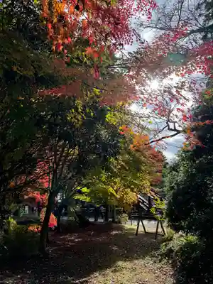 丹生都比売神社(和歌山県)