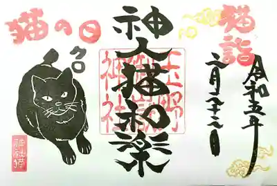 黒のクロちゃん
甘えたいのか…怒っているのか…眼力がスゴい