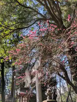 布多天神社(東京都)