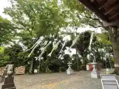 星川杉山神社の建物その他