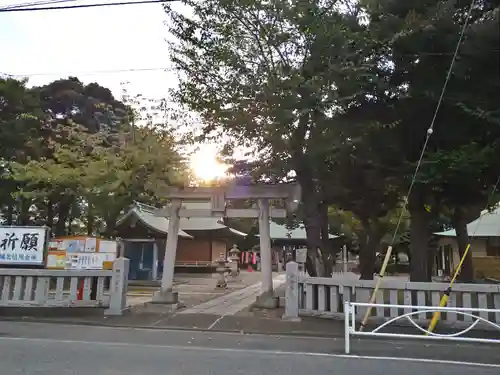 新曽氷川神社の鳥居