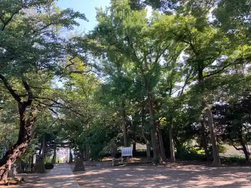 篠原八幡神社(神奈川県)