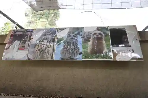 柏諏訪神社(千葉県)