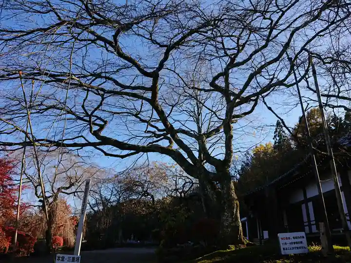 宝積山光前寺の自然