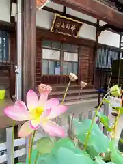 谷中西光寺の建物その他