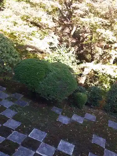 東福禅寺（東福寺）(京都府)