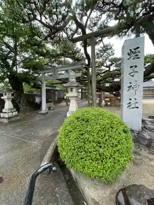 名古曽蛭子神社のその他建物