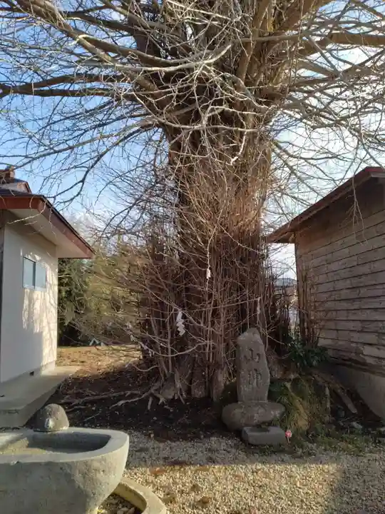 川崎神明社(宮城県)