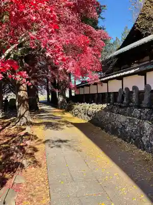 長圓寺のその他建物