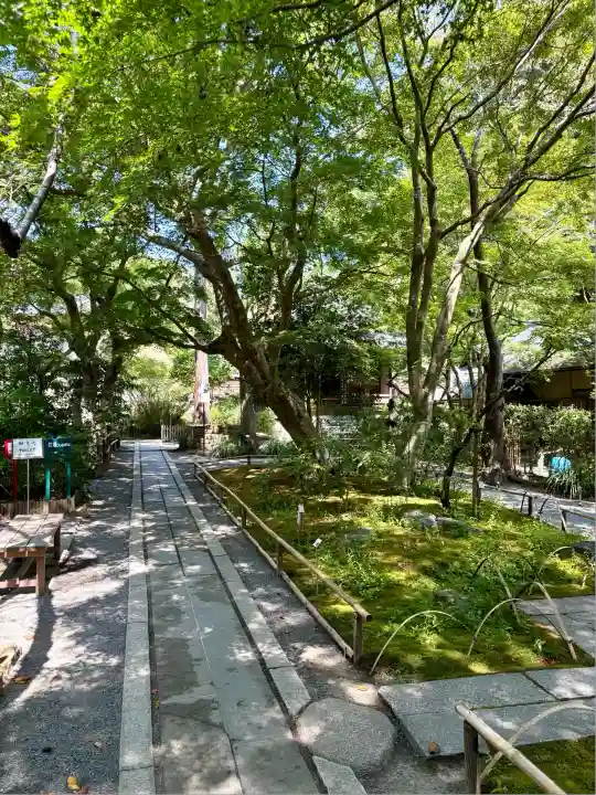 明月院(神奈川県)