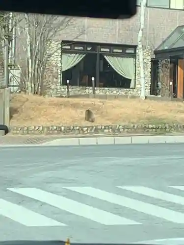 中禅寺(栃木県)