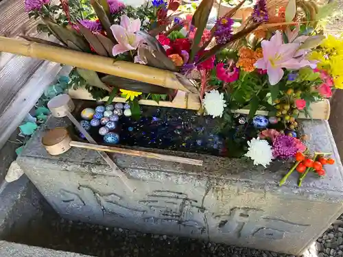 勝林寺(京都府)