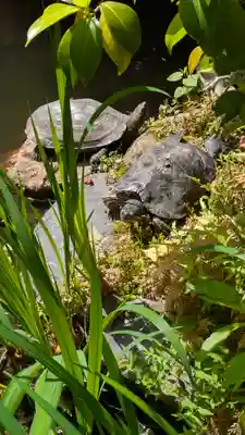宝蔵寺(京都府)
