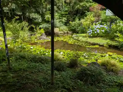 本土寺(千葉県)