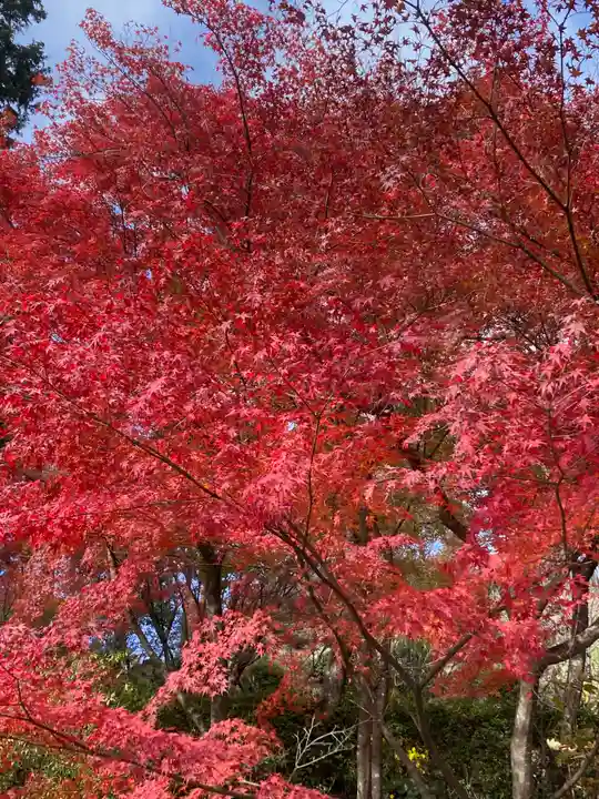 三室戸寺(京都府)