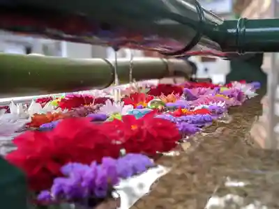 伊和志津神社の手水舎