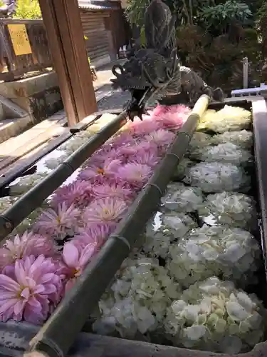 柳谷観音　楊谷寺の手水舎