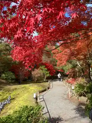 宝厳院(京都府)