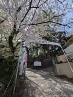 多摩川浅間神社(東京都)