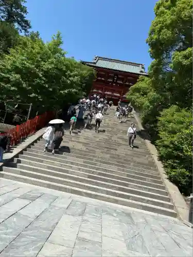 鶴岡八幡宮の本殿・本堂