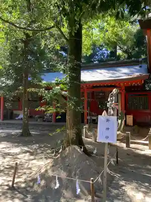 香取神宮(千葉県)