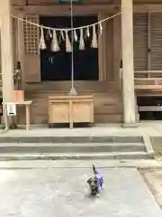 米川八幡神社の本殿・本堂