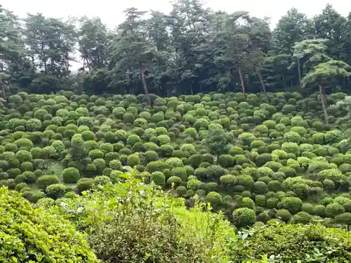 塩船観音寺の庭園
