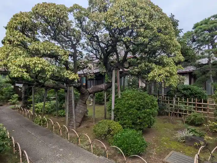 中道院(東京都)