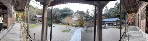 縁城寺(京都府)