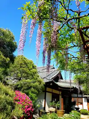愛染院(東京都)