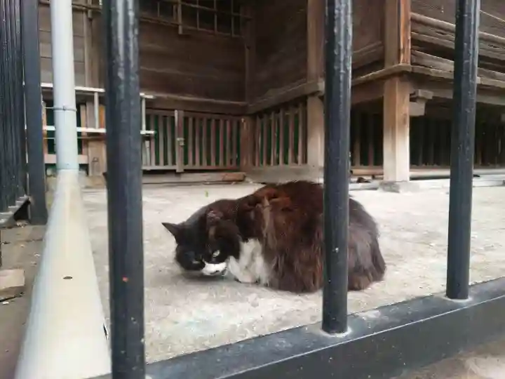 南品川諏訪神社の{uncategorized: "未分類", other: "その他", undefined: "問題あり", building: "その他建物", grave: "お墓", sacred_gate: "鳥居", guardian: "狛犬", statue: "像", buddha: "仏像", history: "歴史", nature: "自然", garden: "庭園", animal: "動物", pagoda: "塔", temizu: "手水舎", mountain_gate: "山門・神門", sanctuary: "本殿・本堂", subordinate: "末社・摂社", art: "芸術", scenery: "景色", jizo: "地蔵", ema: "絵馬", goshuin: "御朱印", omikuji: "おみくじ", items: "授与品その他", amulet: "お守り", goshuincho: "御朱印帳", eats: "食事", festival: "お祭り", votive_dance: "神楽", shichigosan: "七五三参", wedding: "結婚式", experience: "体験その他", initially: "初詣", around: "周辺", anti_infection: "感染症対策"}