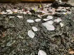 滑川神社 - 仕事と子どもの守り神(福島県)