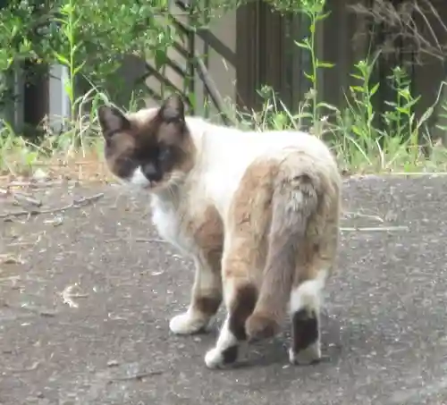 易往寺(神奈川県)