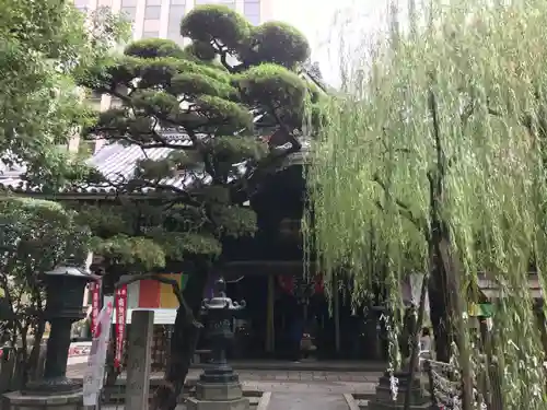 頂法寺（六角堂）の自然